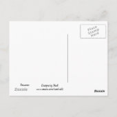 Raccoon Briefkaart (Achterkant)