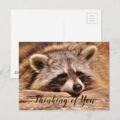 Raccoon Briefkaart (Voorkant / Achterkant)