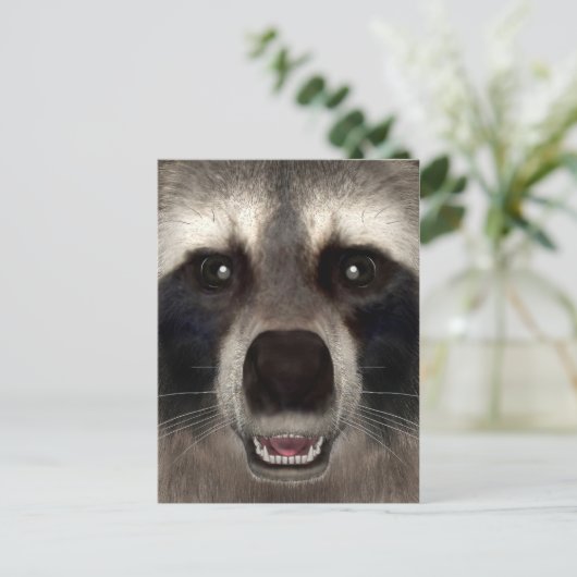 Raccoon Briefkaart (Staand voorkant)