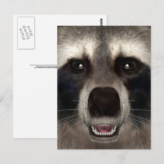 Raccoon Briefkaart (Voorkant / Achterkant)