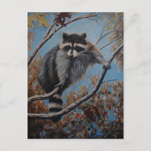 Raccoon Briefkaart (Voorkant)