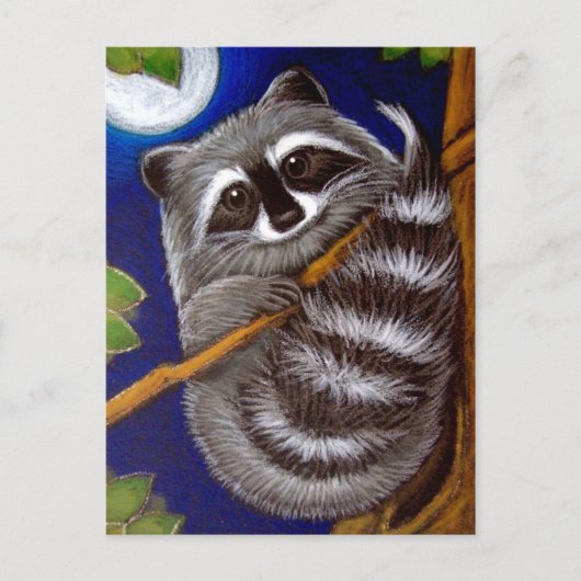 RACCOON Briefkaart (Voorkant)