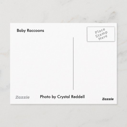 Raccoon Briefkaart (Achterkant)