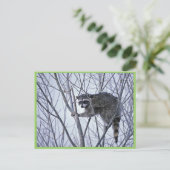 Raccoon Briefkaart (Staand voorkant)