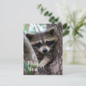Raccoon Briefkaart (Staand voorkant)
