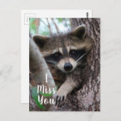 Raccoon Briefkaart (Voorkant / Achterkant)