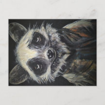 Raccoon Briefkaart