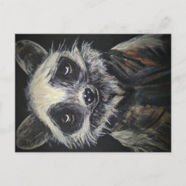 Raccoon Briefkaart