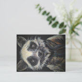 Raccoon Briefkaart (Staand voorkant)