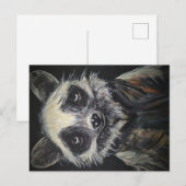 Raccoon Briefkaart (Voorkant / Achterkant)