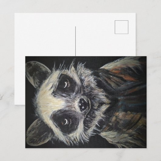 Raccoon Briefkaart (Voorkant / Achterkant)