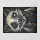 Raccoon Briefkaart (Voorkant)