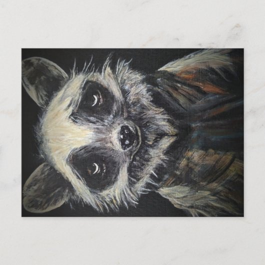 Raccoon Briefkaart (Voorkant)