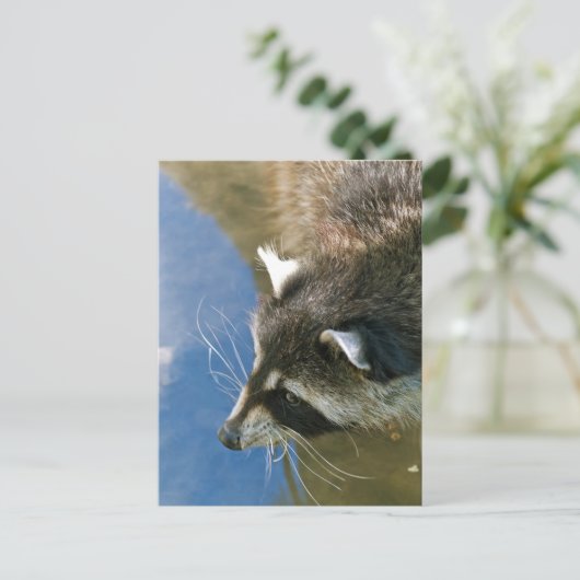 Raccoon Briefkaart (Staand voorkant)