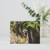 Raccoon Briefkaart (Staand voorkant)