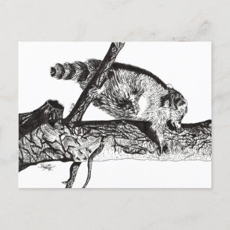 RACCOON BRIEFKAART