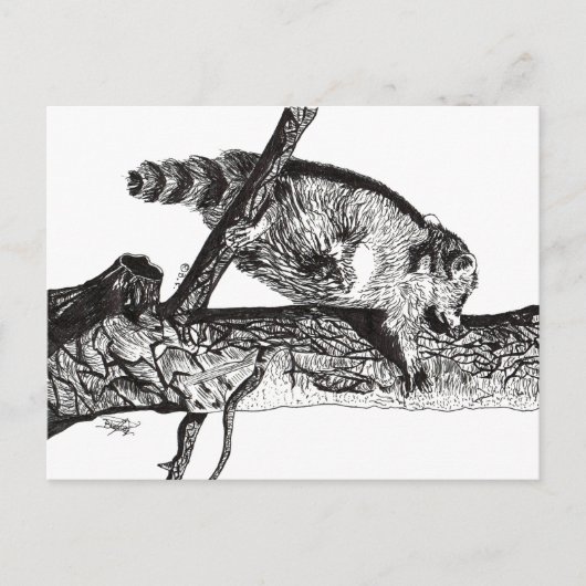 RACCOON BRIEFKAART (Voorkant)