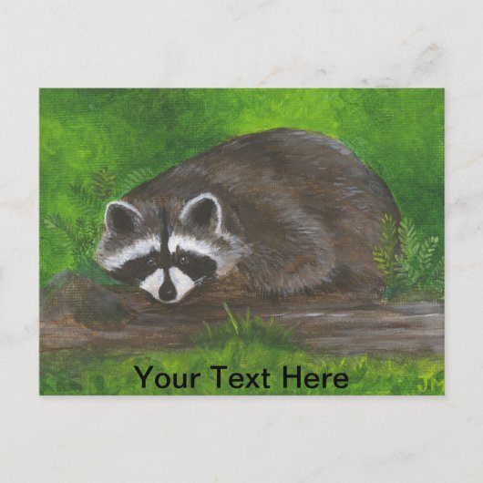 Raccoon Briefkaart (Voorkant)