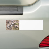 Raccoon Bumpersticker (Op auto)