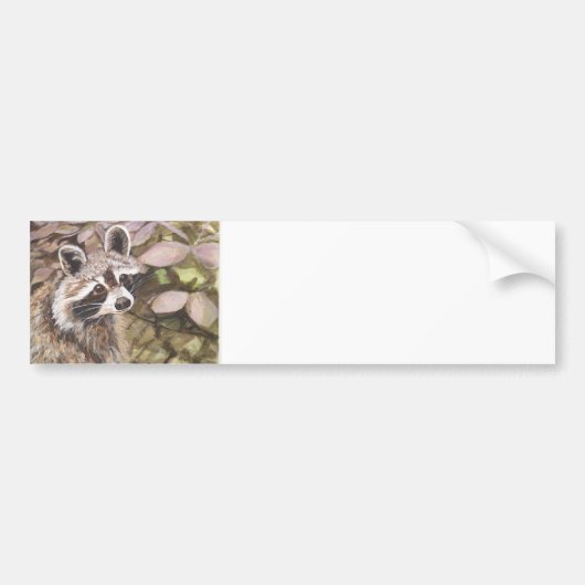 Raccoon Bumpersticker (Voorkant)