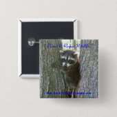 Raccoon Buttoon Vierkante Button 5,1 Cm (Voorkant /achterkant)