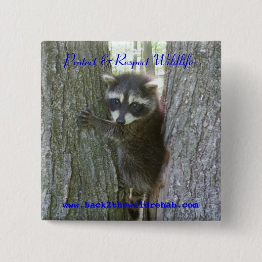 Raccoon Buttoon Vierkante Button 5,1 Cm (Voorkant)