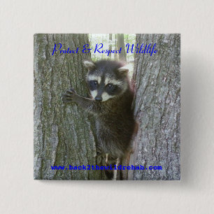 Raccoon Buttoon Vierkante Button 5,1 Cm
