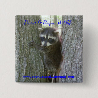 Raccoon Buttoon Vierkante Button 5,1 Cm