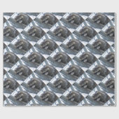 Raccoon Cadeaupapier (Vlak)