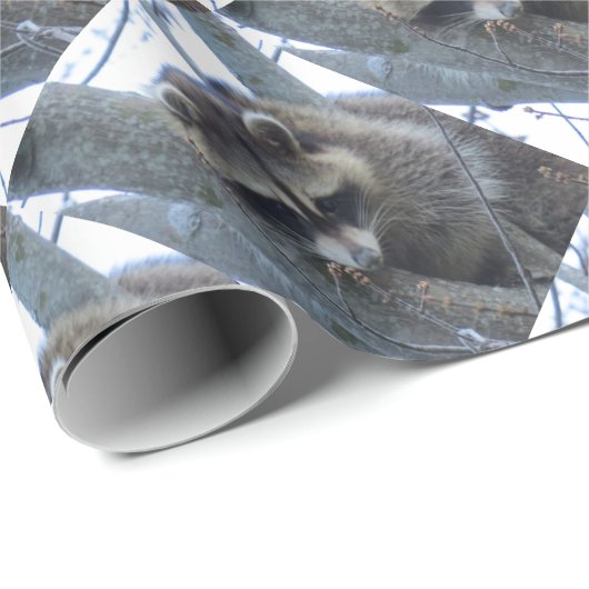 Raccoon Cadeaupapier (Rol Hoek)