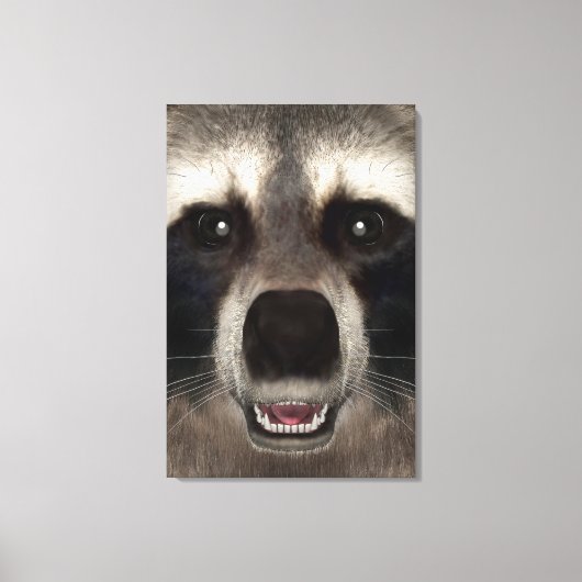 Raccoon Canvas Afdruk (Voorkant)
