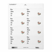 Raccoon cartoon etiket (Full Sheet)