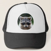 Raccoon Coon Wilde Dieren Wilde Pet (Voorkant)