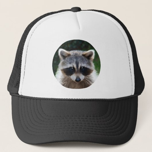 Raccoon Coon Wilde Dieren Wilde Pet (Voorkant)