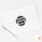 Raccoon Coon Wilde Dieren Wildlife Stickers (Envelop)