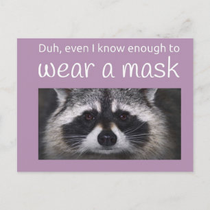 Raccoon Covid vraagt om het Masker van Funnycomb Briefkaart