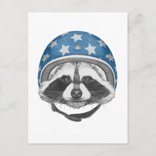 Raccoon Dareduivel Briefkaart