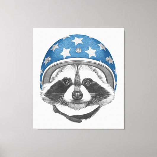 Raccoon Dareduivel Canvas Afdruk (Voorkant)