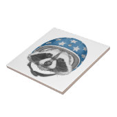 Raccoon Dareduivel Tegeltje (Zijkant)