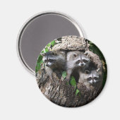 Raccoon - de drie amigos magneet (Voorkant / Achterkant)