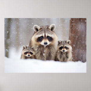 Raccoon Dierenfamilie Wandering Natuur Poster