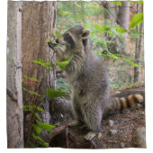 Raccoon douchegordijn (Voorkant)