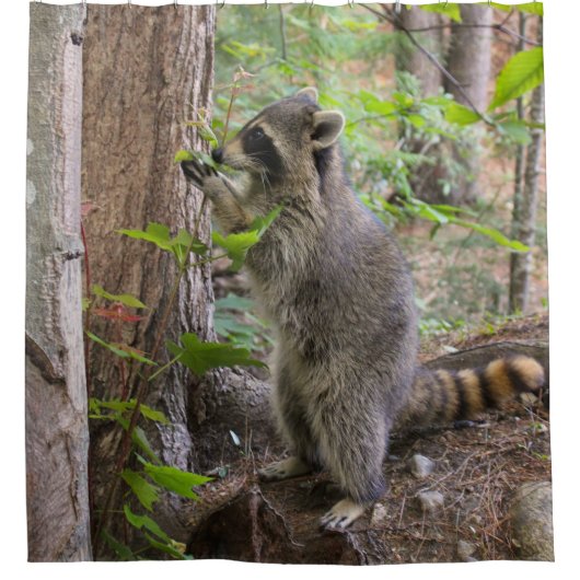 Raccoon douchegordijn (Voorkant)