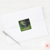 Raccoon Drink Sticker (Envelop)