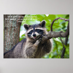 Raccoon en aanmoediging poster