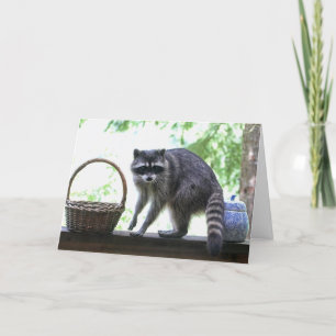 Raccoon en Cookie Jar Kaart