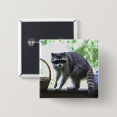 Raccoon en Cookie Jar Vierkante Button 5,1 Cm (Voorkant /achterkant)