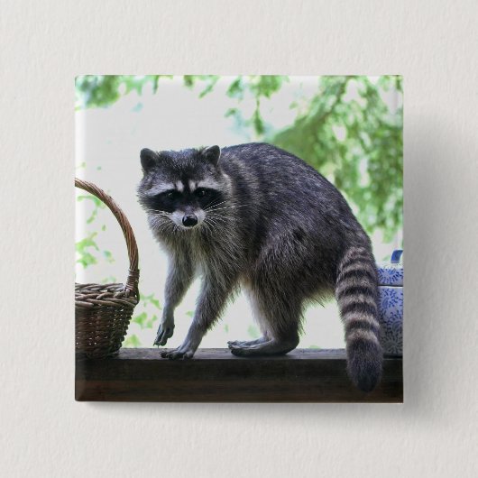 Raccoon en Cookie Jar Vierkante Button 5,1 Cm (Voorkant)