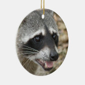 Raccoon Face Ornament (Rechts)