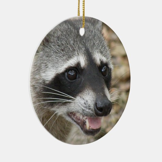 Raccoon Face Ornament (Rechts)